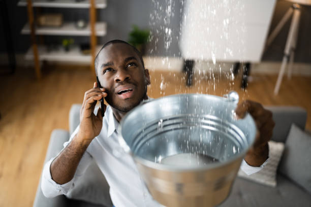 Best Professional water damage repair  in Travelers Rest, SC
