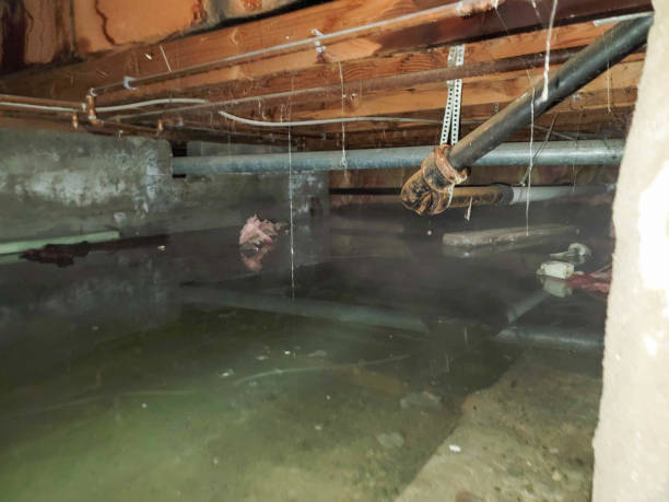 Best Residential water damage restoration  in Travelers Rest, SC
