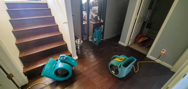 Best Water damage contractors near me  in Travelers Rest, SC