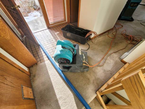Best Sewage cleanup and water damage restoration  in Travelers Rest, SC