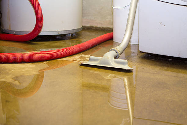 Best Carpet water damage restoration  in Travelers Rest, SC