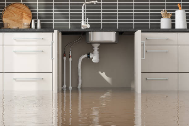 Best Residential water damage restoration  in Travelers Rest, SC