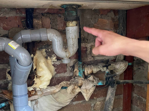Best 24-hour water damage restoration  in Travelers Rest, SC