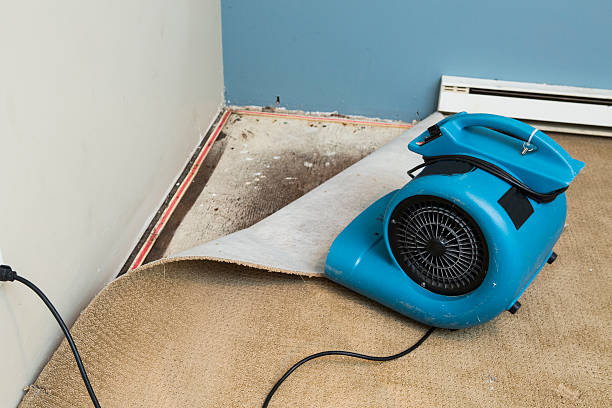 Best Emergency water damage restoration  in Travelers Rest, SC
